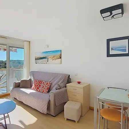 T2 4 Pers - Terrasse Et Animaux Admis - Fr-1-857-43 *